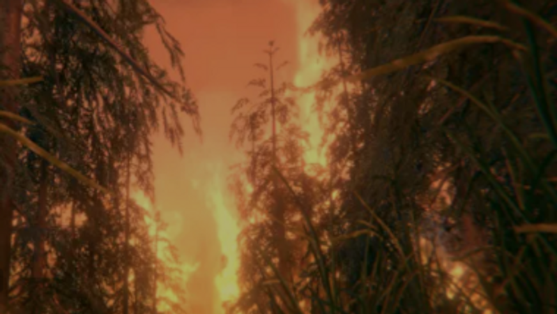 Внутри стихии.  Как устроены лесные пожары - Rossiya Segodnya, 800, 01.04.2021