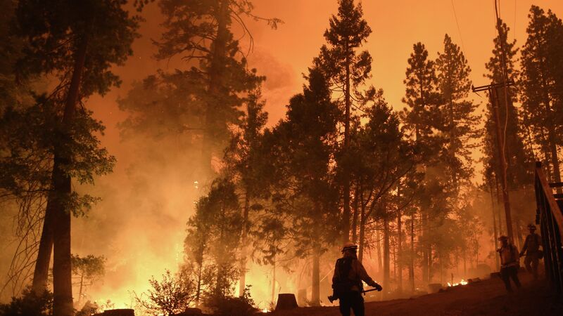 Пожарные во время тушения лесного пожара в штате Калифорния - Rossiya Segodnya, 800, 08.09.2021