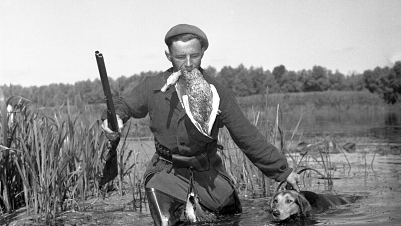 Охотник идет по болоту после удачной охоты, 1956 год - Rossiya Segodnya, 800, 08.09.2021