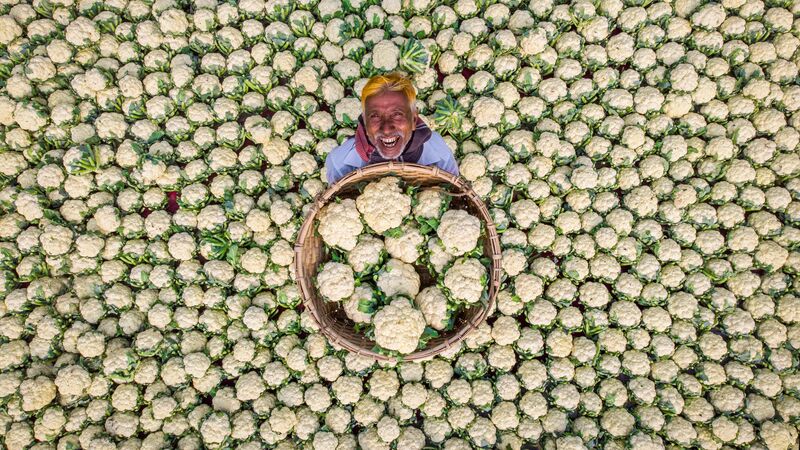 Счастливый фермер, Рафид Ясар, Бангладеш. Моя Планета. - Rossiya Segodnya, 800, 09.08.2023
